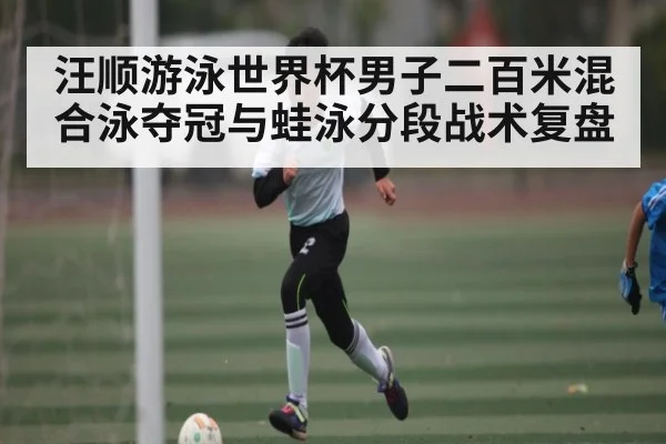 汪顺游泳世界杯男子二百米混合泳夺冠与蛙泳分段战术复盘