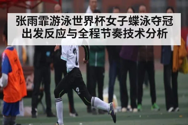 张雨霏游泳世界杯女子蝶泳夺冠出发反应与全程节奏技术分析